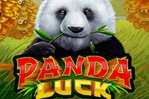 Playtech : Panda Luck - BEERSLOT365