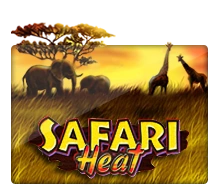 Safari Heat - BEERSLOT365