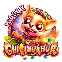 CHILIHUAHUA - BEERSLOT365