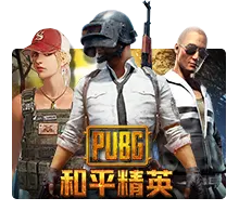 Pubg - BEERSLOT365