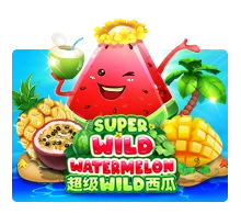 Super Wild Watermelon - BEERSLOT365