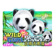 Wild Giant Panda - BEERSLOT365