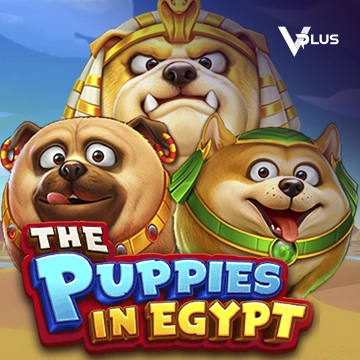 Vplus : The Puppies In Egypt - BEERSLOT365