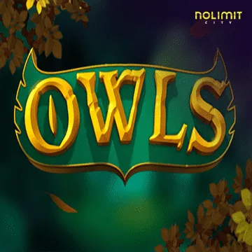 Owls - BEERSLOT365