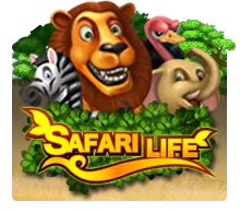 Safari Life - BEERSLOT365