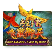 Bird Paradise - BEERSLOT365