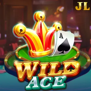 Wild Ace - BEERSLOT365