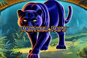 Playtech : Panther Pays - BEERSLOT365