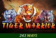 Tiger Warrior - BEERSLOT365