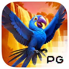 Wings of Iguazu - BEERSLOT365