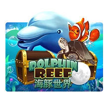 Dolphin Reef - BEERSLOT365