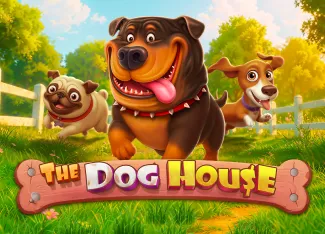 The Dog House - BEERSLOT365