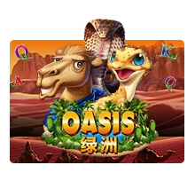 Oasis - BEERSLOT365
